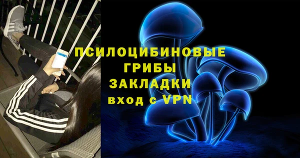 ГАЛЛЮЦИНОГЕННЫЕ ГРИБЫ Верея